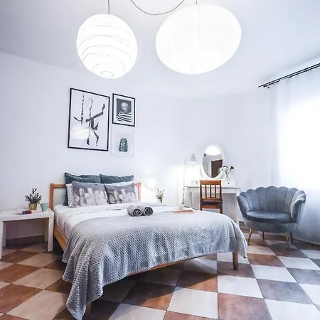 Lion - Your Own In Cracow