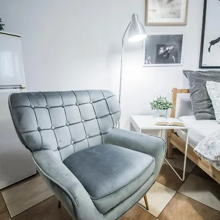 公寓 Lion - Your Own In Cracow *