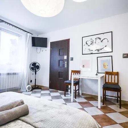 Lion - Your Own In Cracow