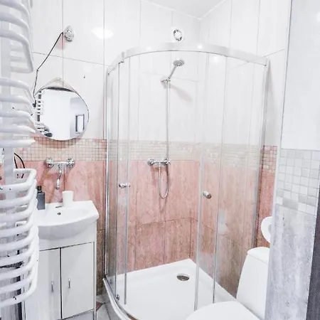 公寓 Lion - Your Own In Cracow 克拉科夫