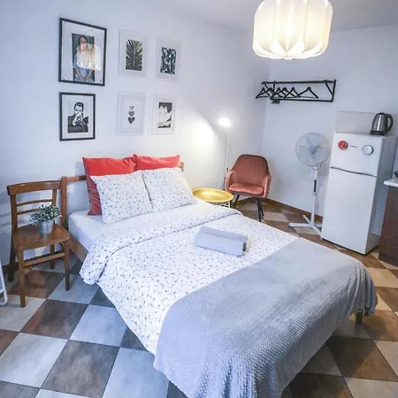 Lion - Your Own In Cracow