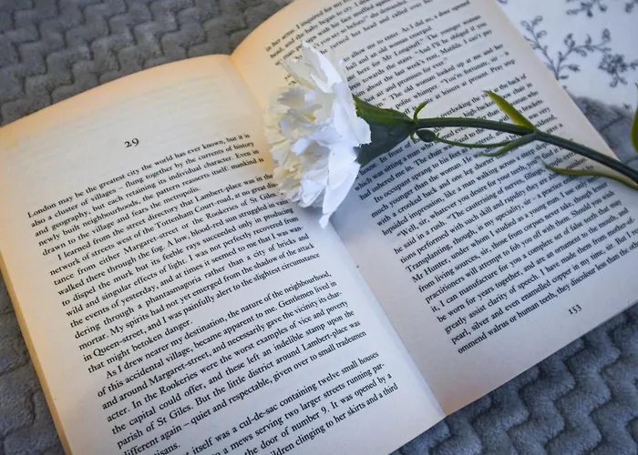 Apartamento Lion - Your Own In Cracow