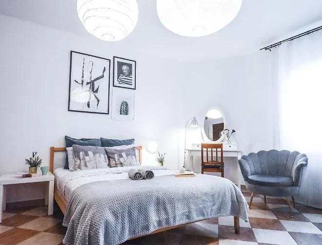 Lion - Your Own In Cracow