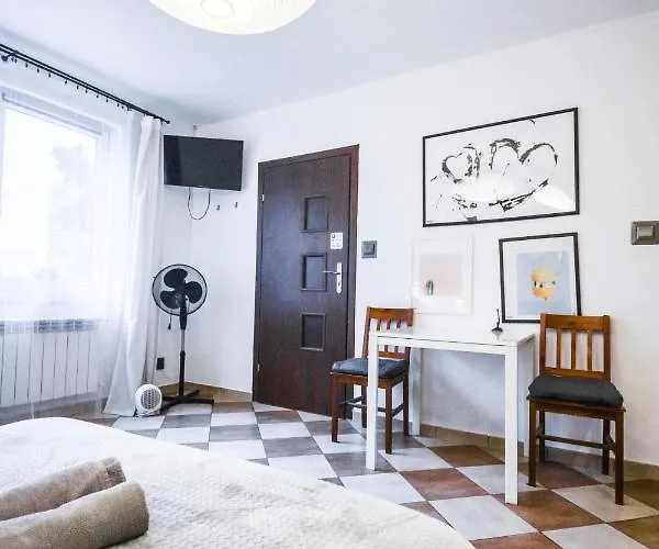 Lion - Your Own In Cracow