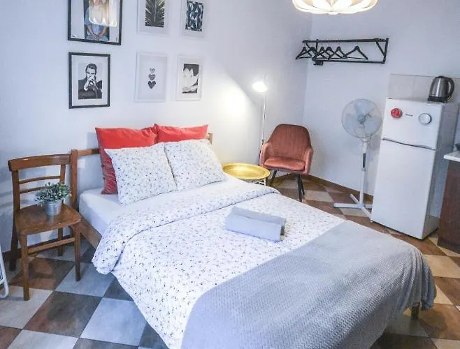 Lion - Your Own In Cracow