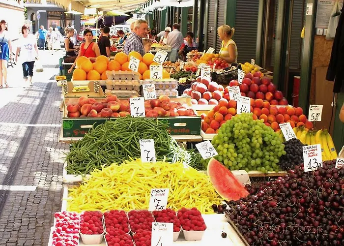 Lion - Your Own In Cracow Cracóvia